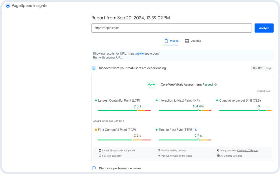 Как выглядит интерфейс Google Page Speed